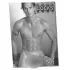 Real Cocks 2027 - erotic wall calendar (1 piece)