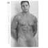 Real Cocks 2027 - erotic wall calendar (1 piece)