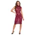 Cottelli - lace see-through dress (burgundy)