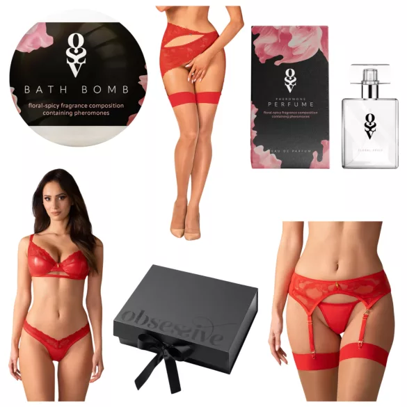 Obsessive Aloisa - Lingerie Gift Set - 6 Pieces (Red) - L/XL